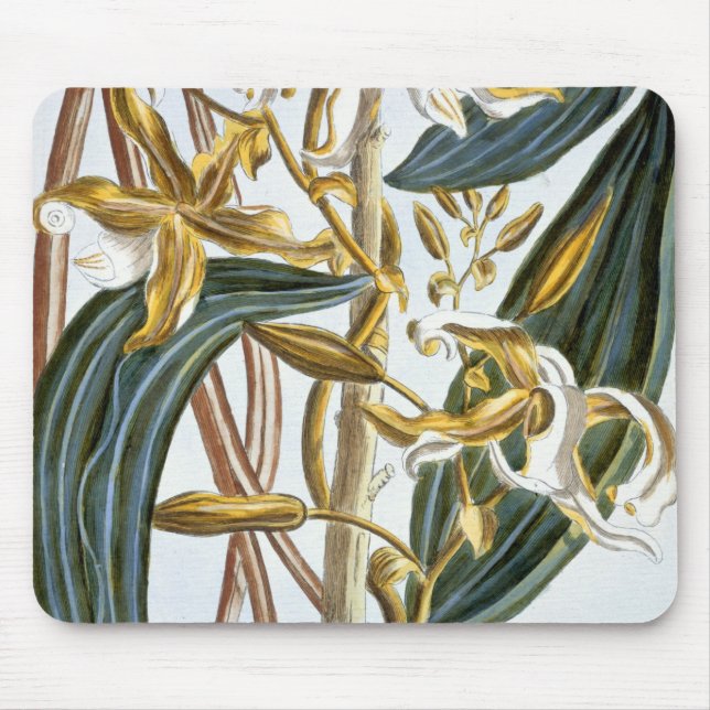 Vanilla pods, plate 65, from 'Collection Precieuse Mouse Pad (Front)