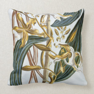 Vanilla pods, plate 65, from 'Collection Precieuse Throw Pillow