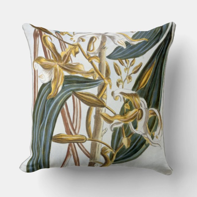 Vanilla pods, plate 65, from 'Collection Precieuse Throw Pillow (Front)