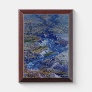 Vanishing Award Plaque