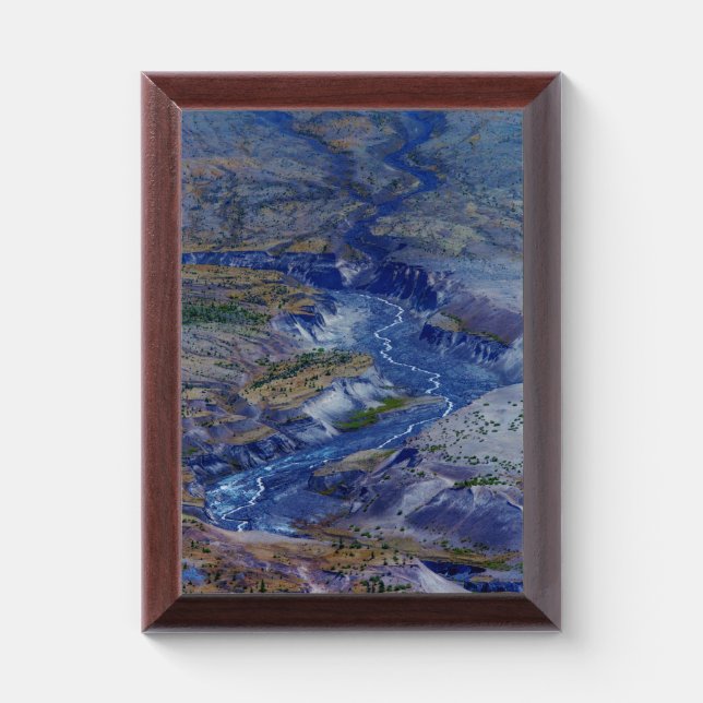 Vanishing Award Plaque (Vertical)