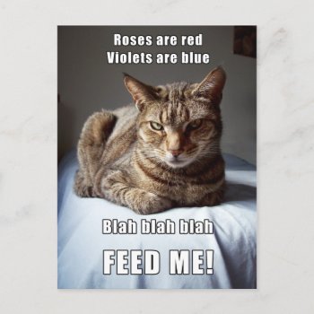 Vanlentine Cat Feed Me Poem Postcard by erinphotodesign at Zazzle