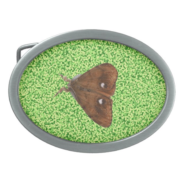 Vapourer Moth Belt Buckle (Front)