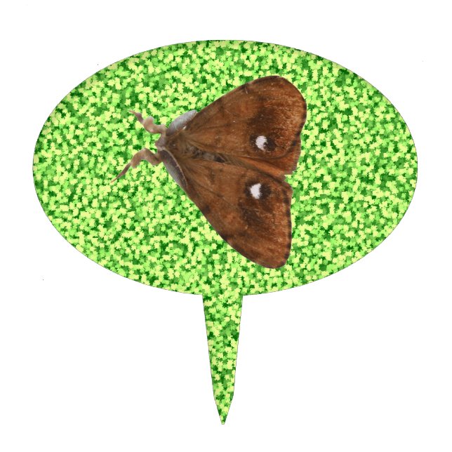 Vapourer Moth Cake Pick (Front)