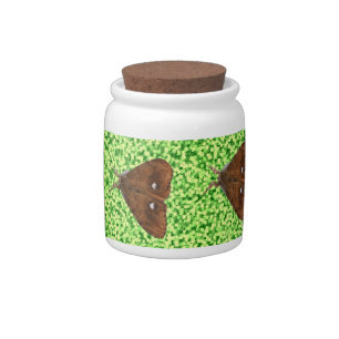 Vapourer Moth Candy Jar