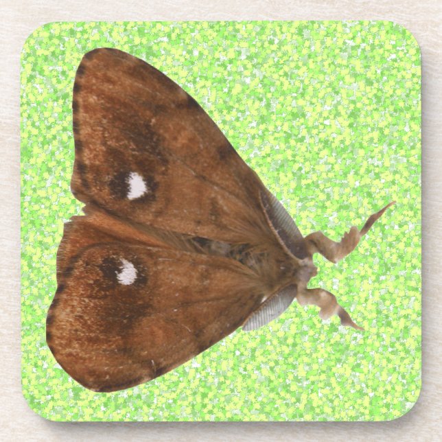 Vapourer Moth Cork Coaster (Front)