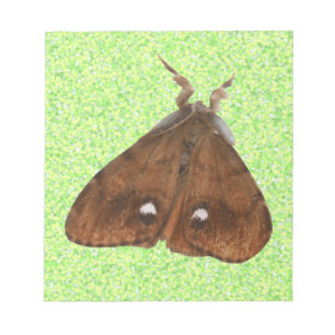 Vapourer Moth Notepad