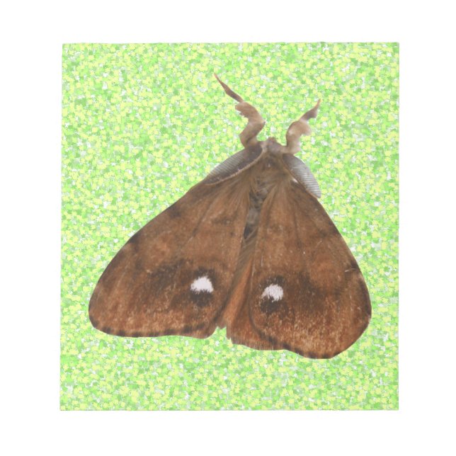 Vapourer Moth Notepad (Front)