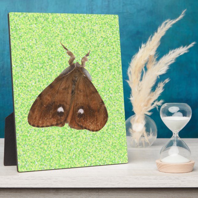 Vapourer Moth Plaque (Side)