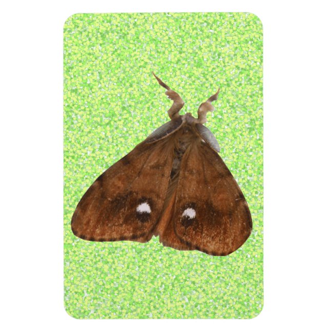 Vapourer Moth Premium Magnet (Vertical)