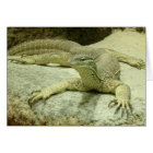 Varanus gouldii