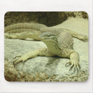 Varanus gouldii mouse pad