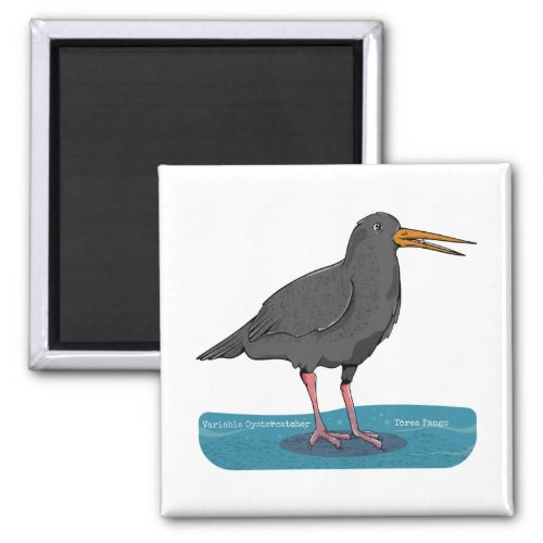 Variable oystercatcher Tōrea pango Magnet