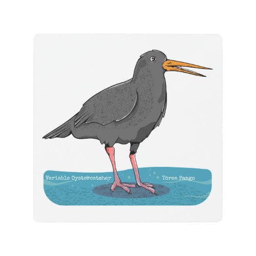 Variable oystercatcher Tōrea pango Metal Print