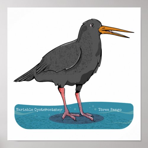 Variable oystercatcher Tōrea pango Poster