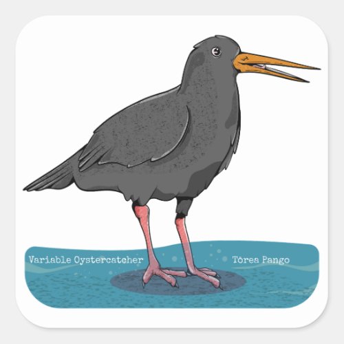 Variable oystercatcher Tōrea pango Square Sticker