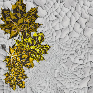 variations on an s-curve canvas print