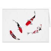 Varicolored carps (Front Horizontal)