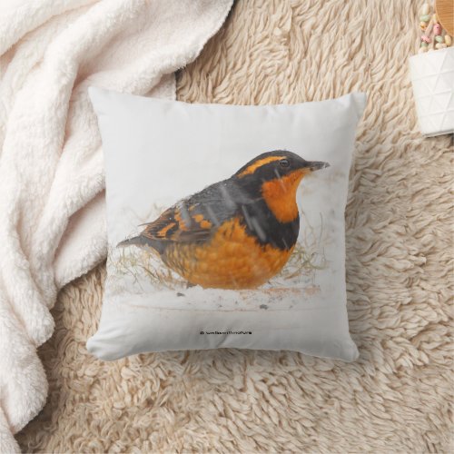 Varied Thrush Songbird on Snowy Winter Day Throw Pillow