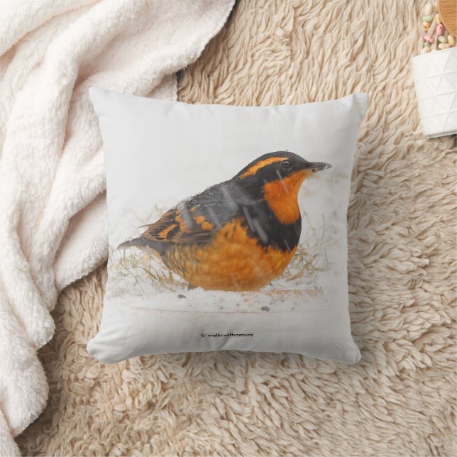Varied Thrush Songbird on Snowy Winter Day Throw Pillow (Blanket)