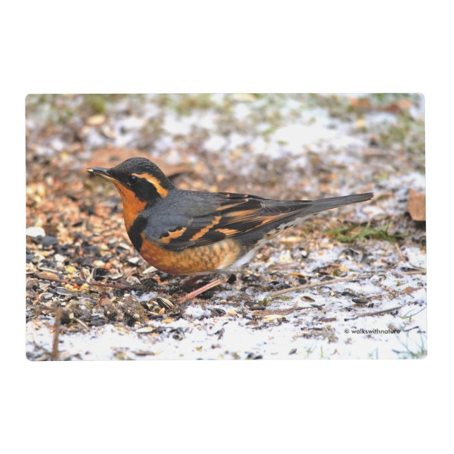 Varied Thrush Songbird on the Snowy Ground Placemat (Front)