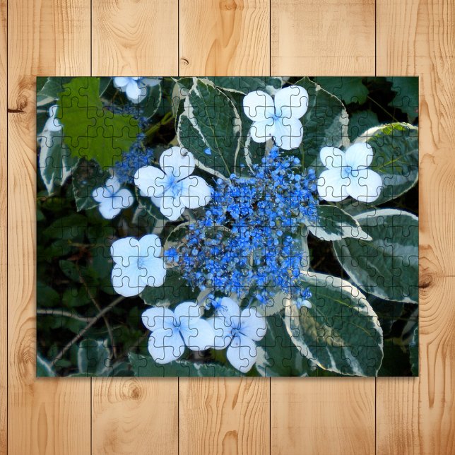 Variegated Blue Hydrangea Jigsaw Puzzle (Creator Uploaded)