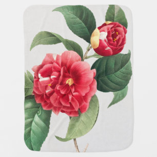 Variegated Camellia, Pierre-Joseph Redouté, 1833 Baby Blanket