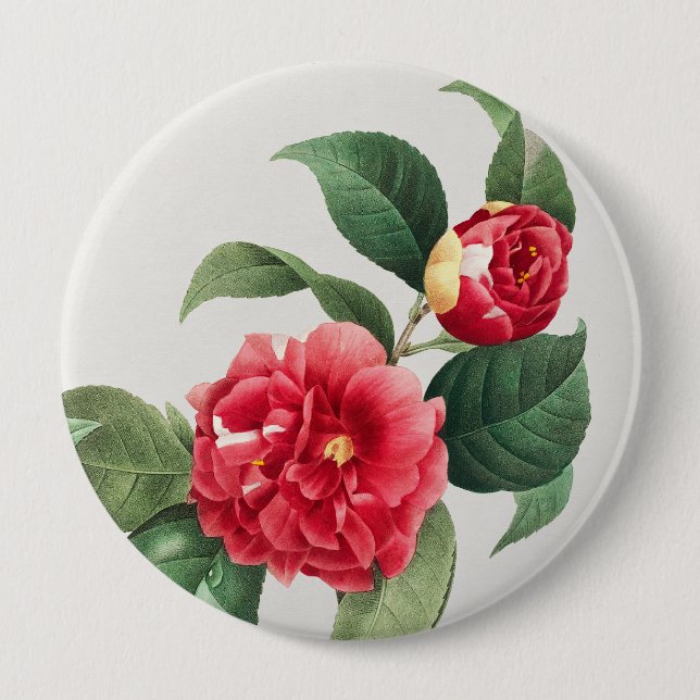 Variegated Camellia, Pierre-Joseph Redouté, 1833 Button (Front)