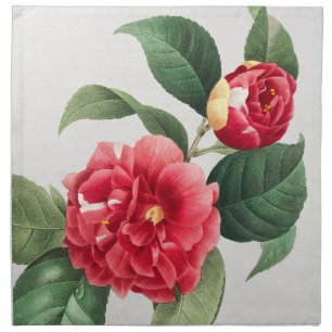 Variegated Camellia, Pierre-Joseph Redouté, 1833 Cloth Napkin