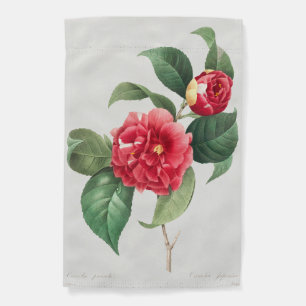 Variegated Camellia, Pierre-Joseph Redouté, 1833 Garden Flag
