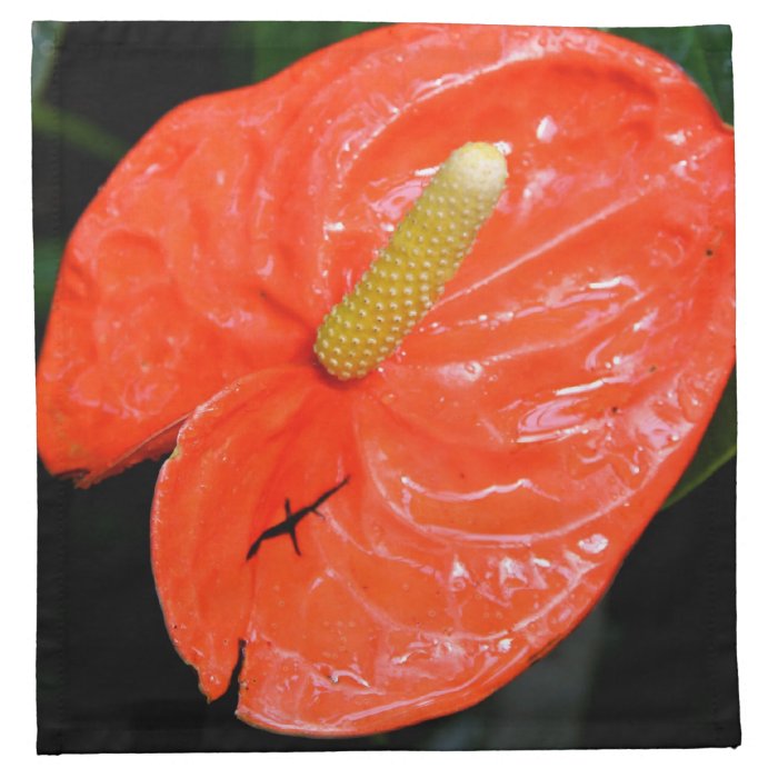 Variegated Chinese Lantern Cloth Napkins