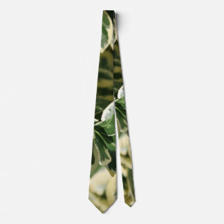 Variegated Greens Tie