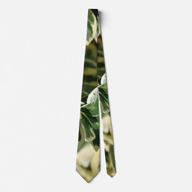 Variegated Greens Tie (Front)