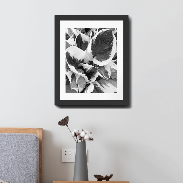 Variegated Hosta Black and White Floral Framed Art (Bedside)