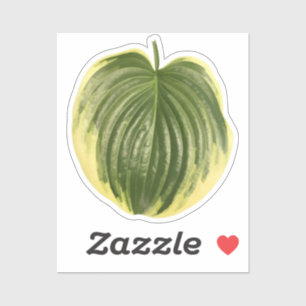 Variegated Hosta Leaf  Sticker