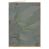 Variegated hosta leaves (Front)