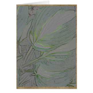 Variegated hosta leaves cards