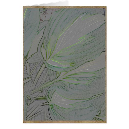 Variegated hosta leaves cards (Front)