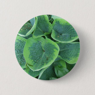 Variegated Hosta Light Green Dark Green Leaves Pinback Button
