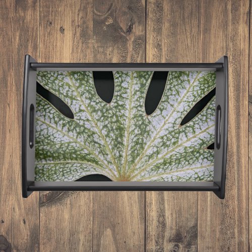 Variegated Japanese Fatsia Leaf Floral Serving Tray