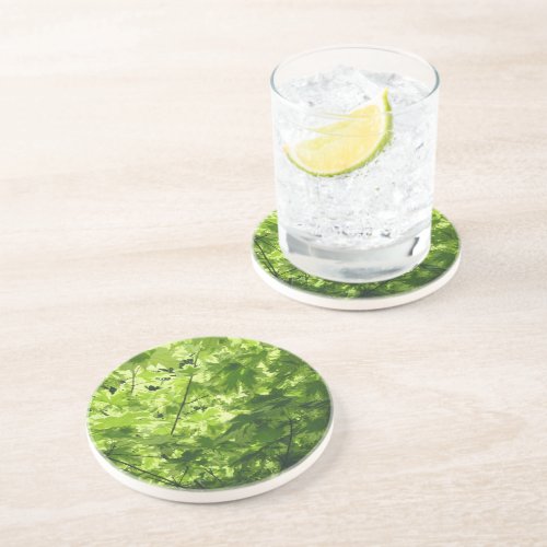 Variegated Maple Leaves Coaster