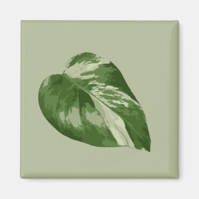 Variegated Monstera Albo Magnet (Front)