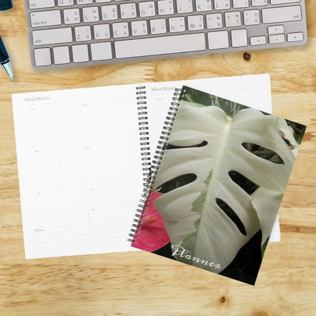 Variegated Monstera Leaf Floral Planner (In Situ)