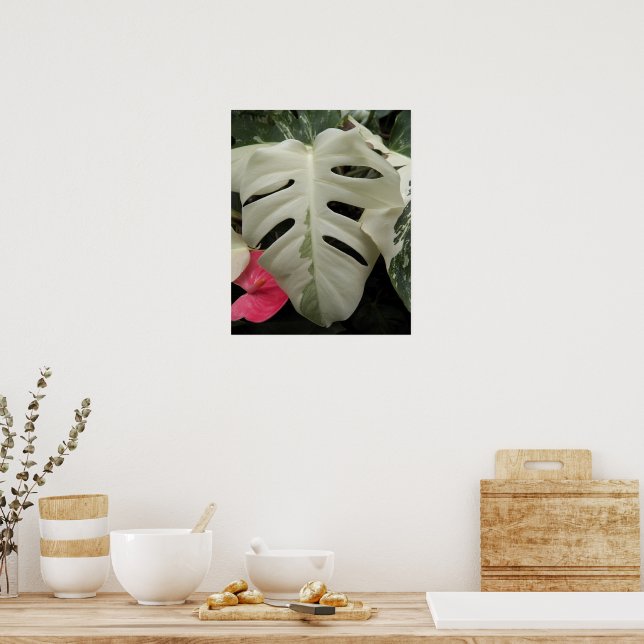 Variegated Monstera Leaf Floral Poster (Kitchen)