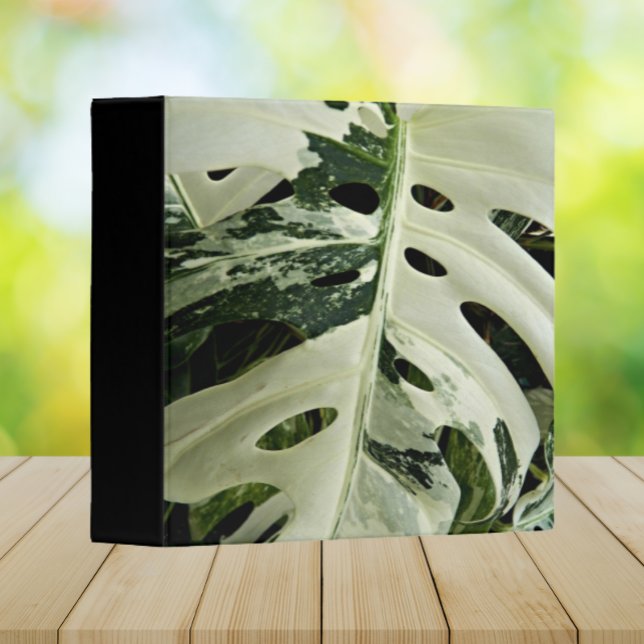 Variegated Monstera Plant Botanical 3 Ring Binder (In Situ Office)