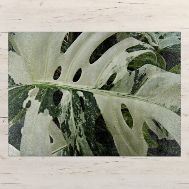 Variegated Monstera Plant Botanical Large Cutting Board (In Situ)