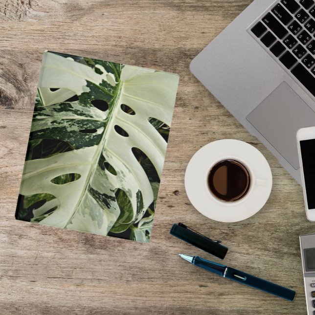 Variegated Monstera Plant Botanical Mini Binder (In Situ)