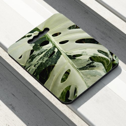 Variegated Monstera Plant Botanical Seat Cushion