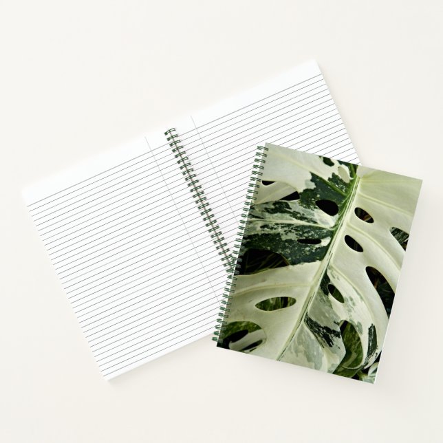 Variegated Monstera Plant Floral Notebook (Inside)