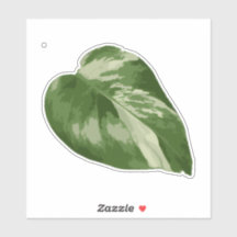 Variegated Monstera Sticker – Clear Cut Leaf